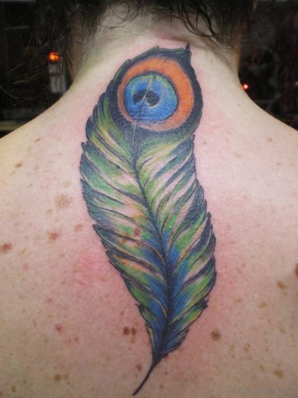 Peacock Feather Tattoo Design