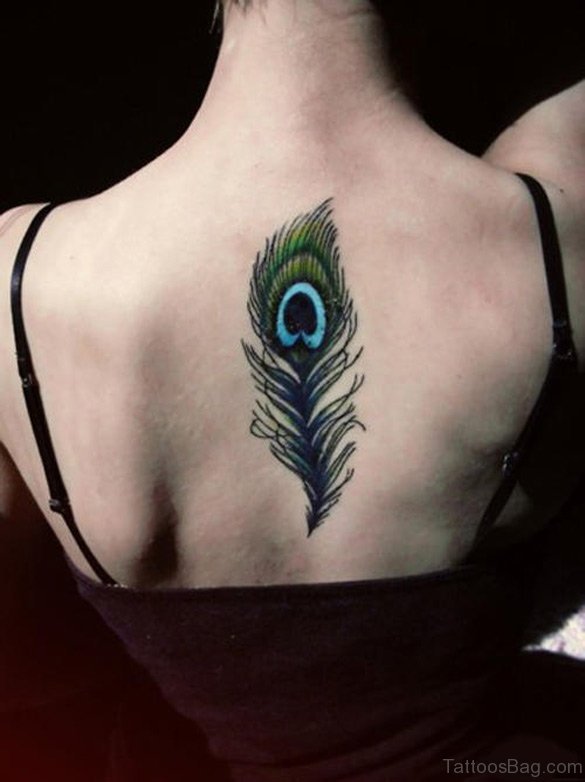 Peacock Feather Tattoo On Back