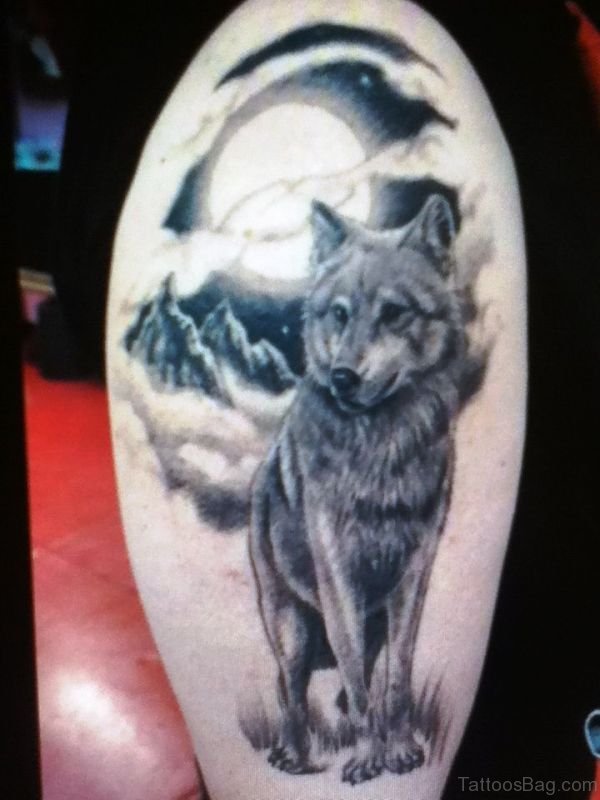 Photo Of Alpha Wolf Tattoo On Shoulder
