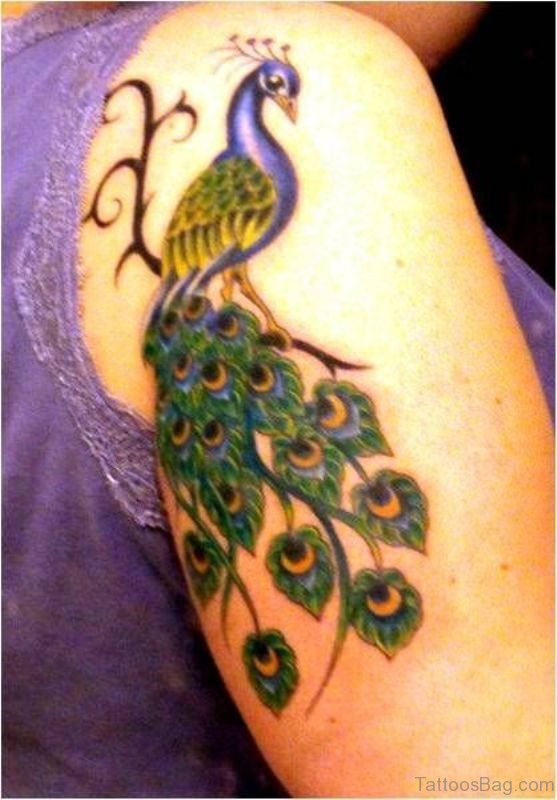 Purple Peacock Tattoo On Shoulder