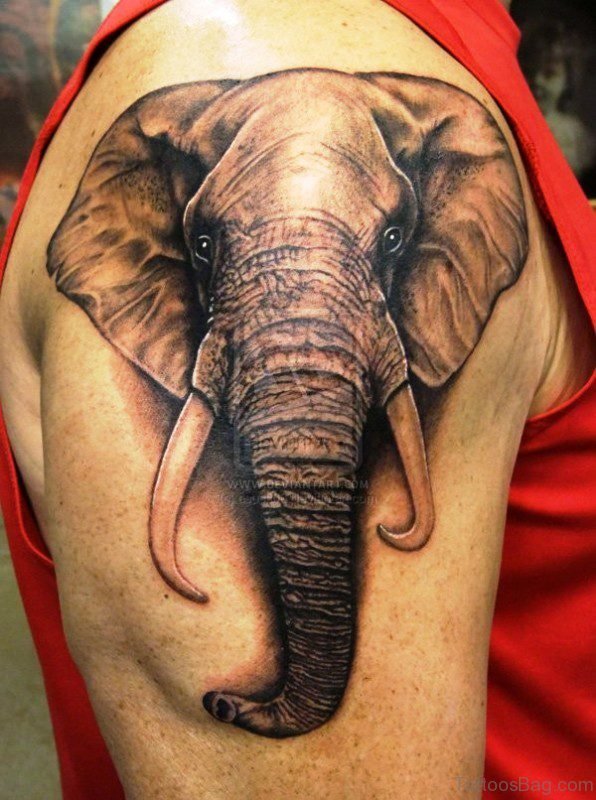 Realistic Big Elephant Face Tattoo