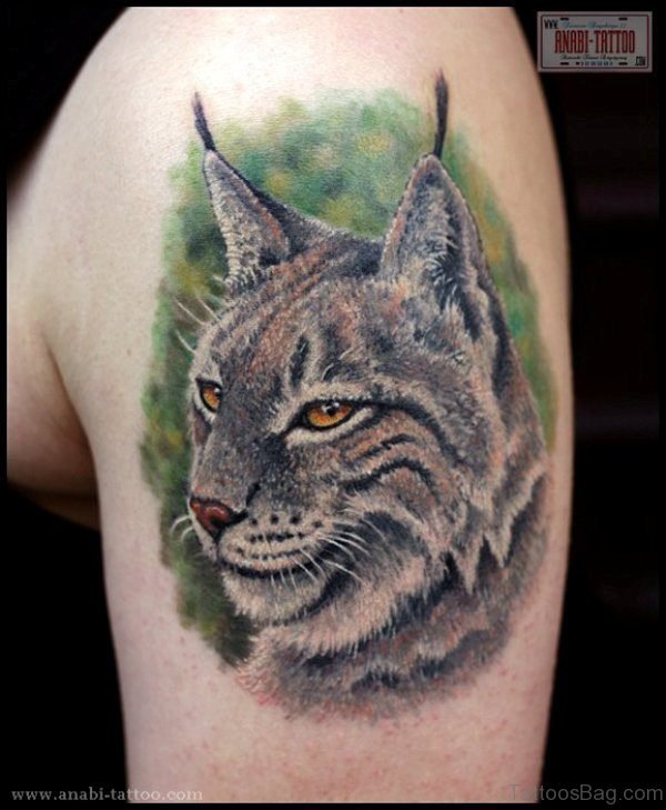 Realistic Cat Shoulder Tattoo
