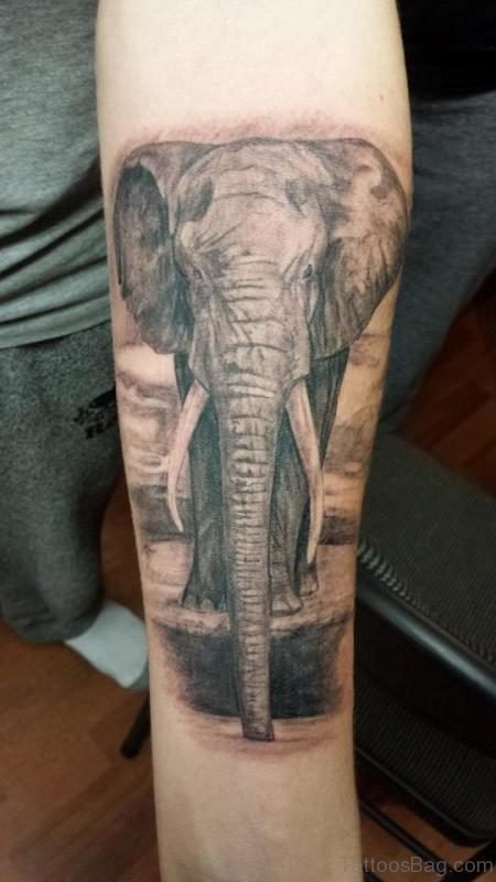 Realistic Forearm Elephant Tattoo