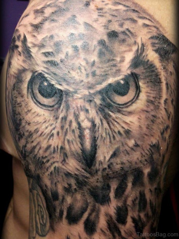 Realistic Owl Head Tattoo On Shoulder