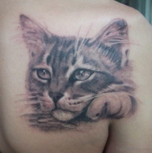 Sad Cat Tattoo On Shoulder