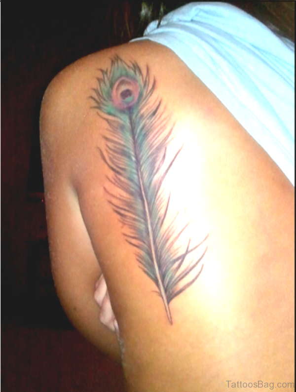 Simple Peacock Feather Tattoo
