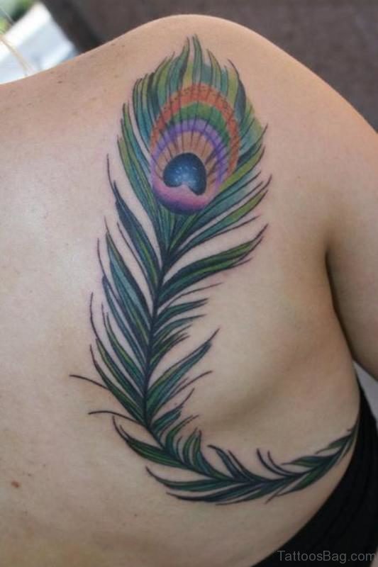 Simple Peacock Feather Tattoo On Shoulder Back