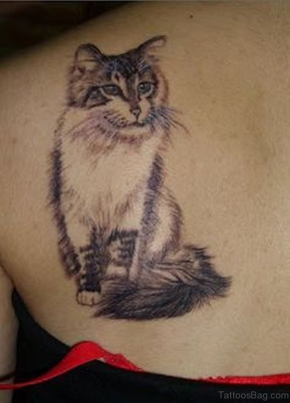 Sitting Cat Shoulder Tattoo
