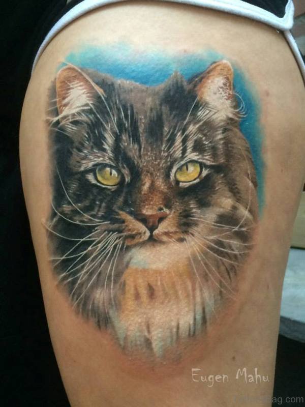 Stunning Cat Head Tattoo On Shoulder
