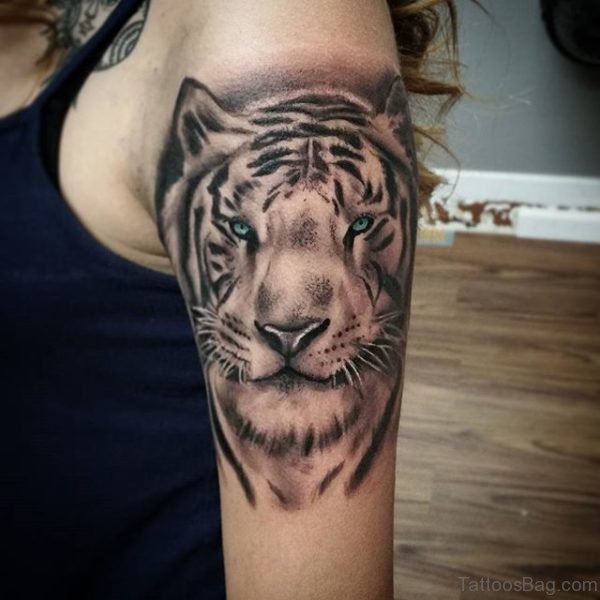 Tiger Tattoo Design