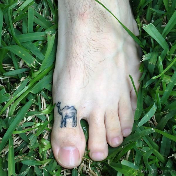 Tiny Camel Tattoo On Toe