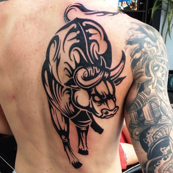 Tribal Bull Tattoo On Shoulder