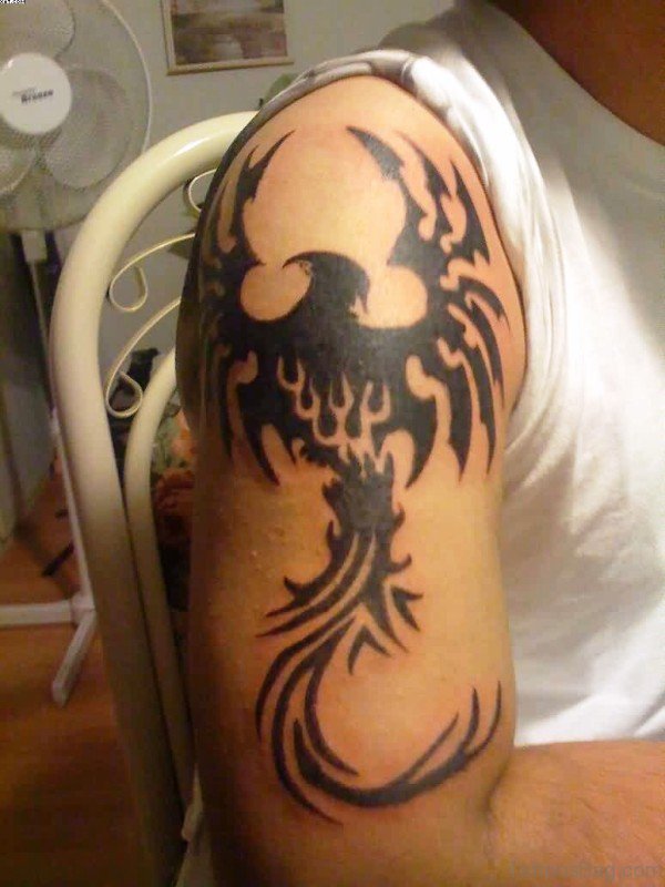 Tribal Phoenix Tattoo On Shoulder