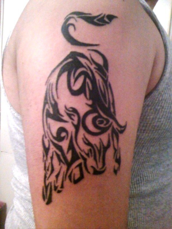 Tribal Taurus Tattoo On Shoulder