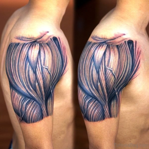 22 Anatomical Shoulder Tattoos