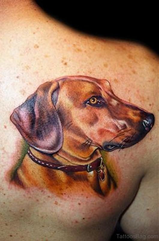 Lovely Brown Dog Tattoo