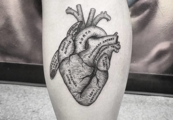 Anatomical Heart Tattoo