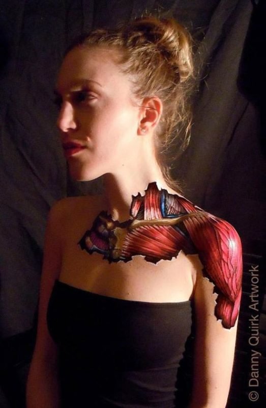 Anatomy Art Human Anatomy