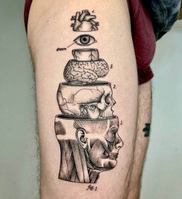 Anatomy Design