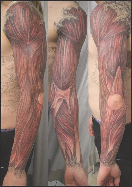 Anatomy Tattoo