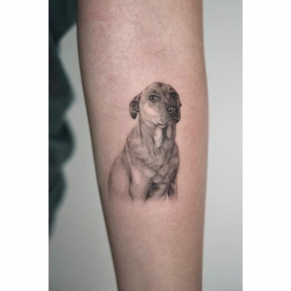 Best Labrador Tattoo