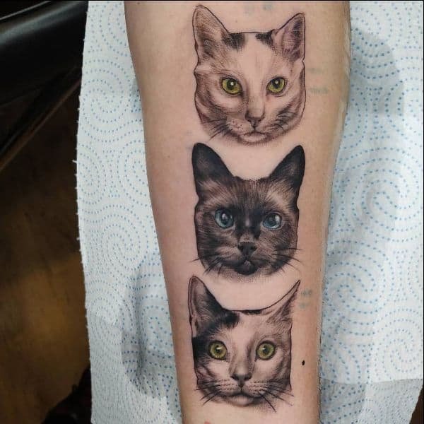 Cat Tattoos Designs Idea
