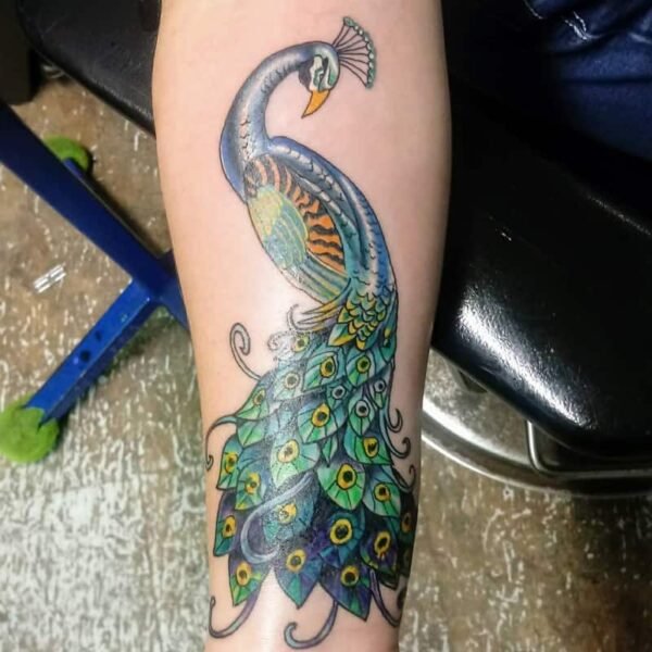 Peacock Tattoo