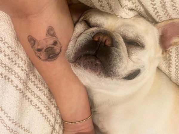 Pet Tattoo