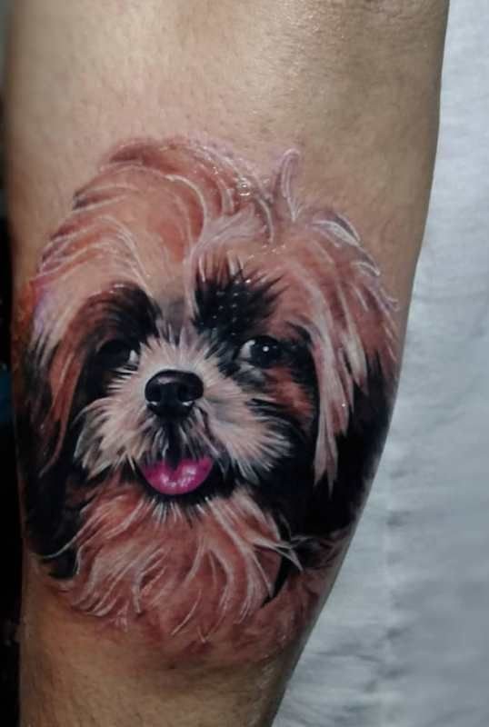 Shih Tzu Head Tattoo