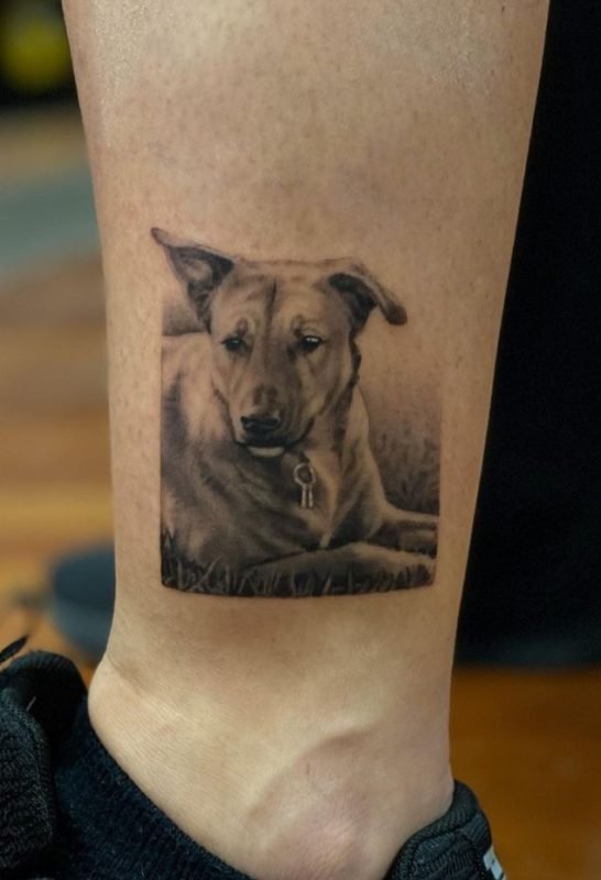Superb Dog Tattoo