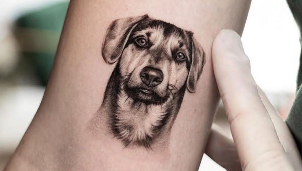 Tattoo Dog